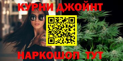 индика Славгород