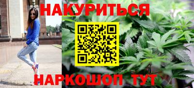 гашик Сланцы