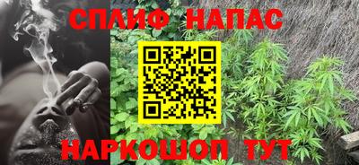индика Славгород