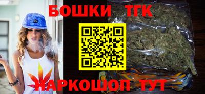 гашик Сланцы