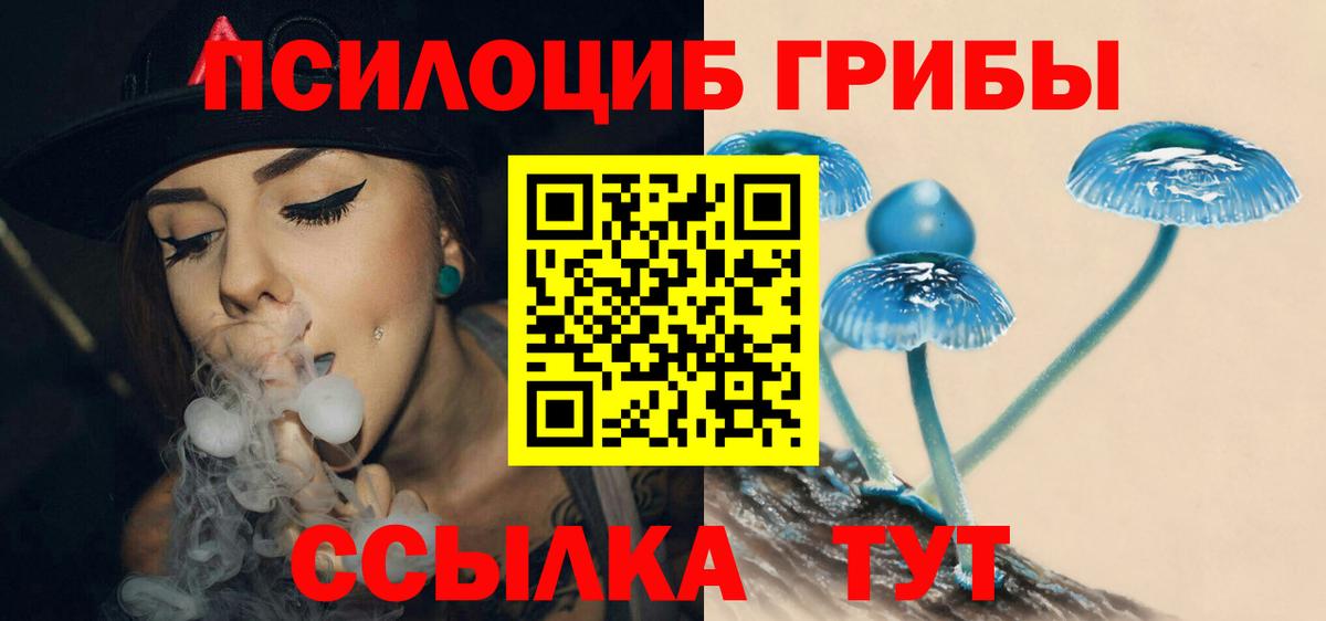 Москва  Галлюциногенные грибы мухоморы  Вход с VPN  Псилоцибиновые грибы прущие грибы 